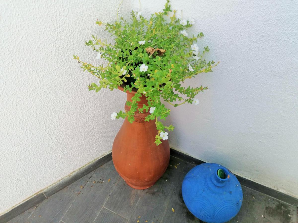 Lilac Homestay Setubal Luaran gambar