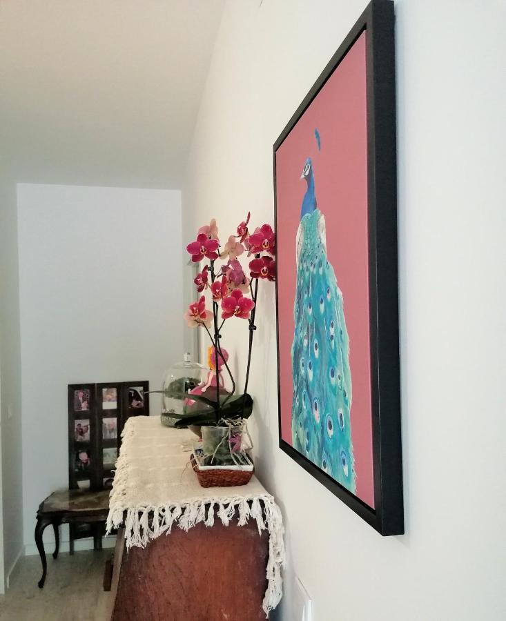 Lilac Homestay Setubal Luaran gambar